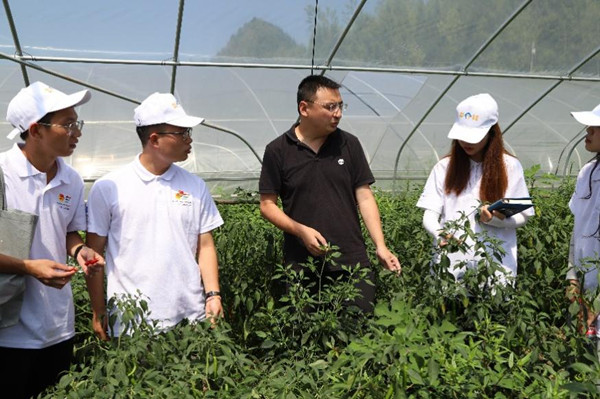 实践团参观蔬菜大棚。bw必威西汉姆联官方网站供图