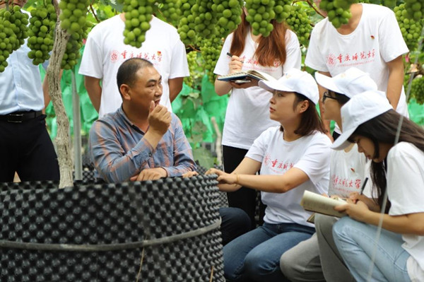 实践团学习葡萄种植与管理技术。bw必威西汉姆联官方网站供图