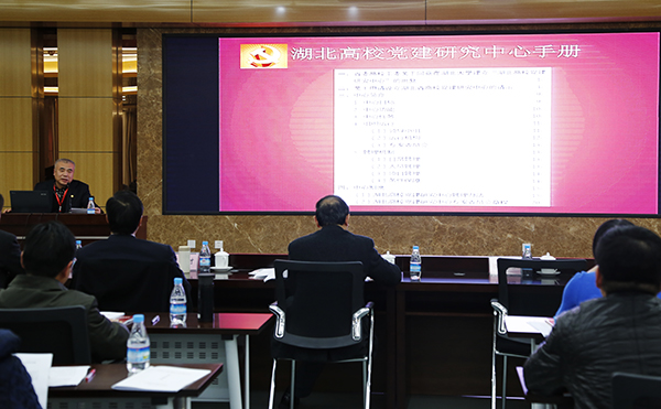 在此输入描述湖北大学汤德森发言