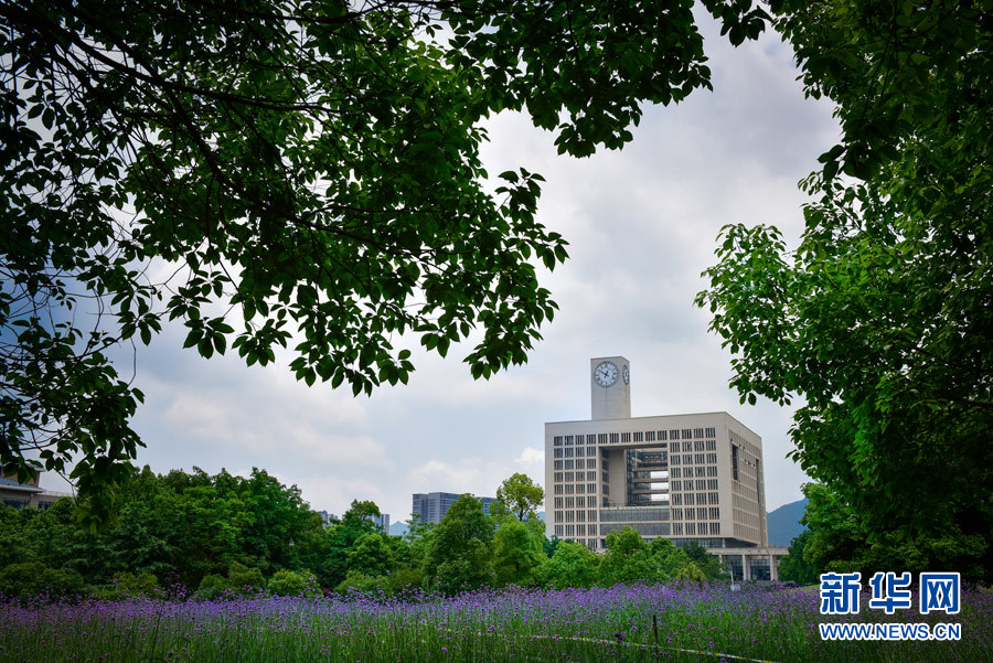 重师校园里的“紫色国度”。bw必威西汉姆联官方网站宣传部供图